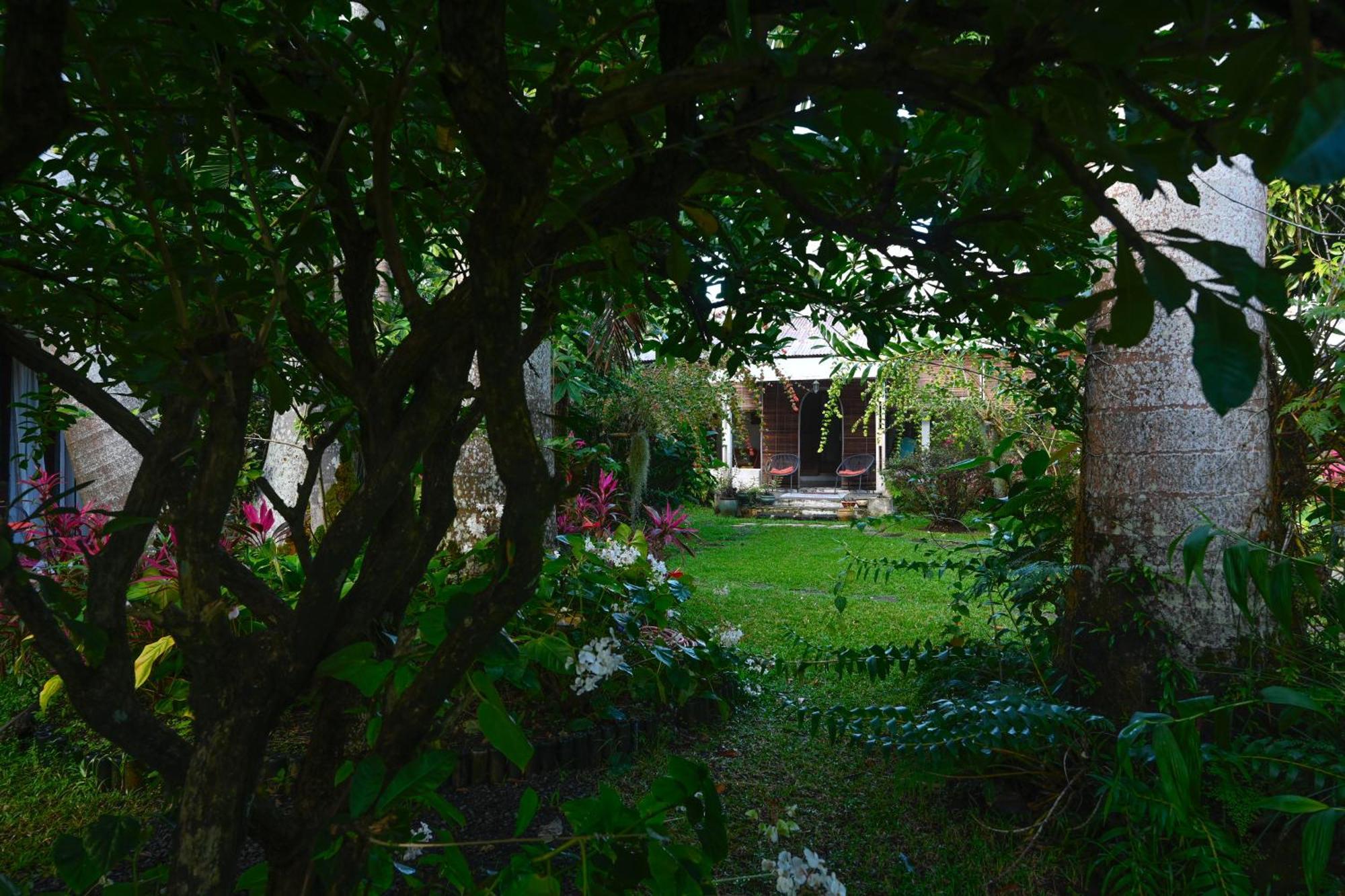 Le Medinilla Bed & Breakfast Bras-Panon Exterior foto