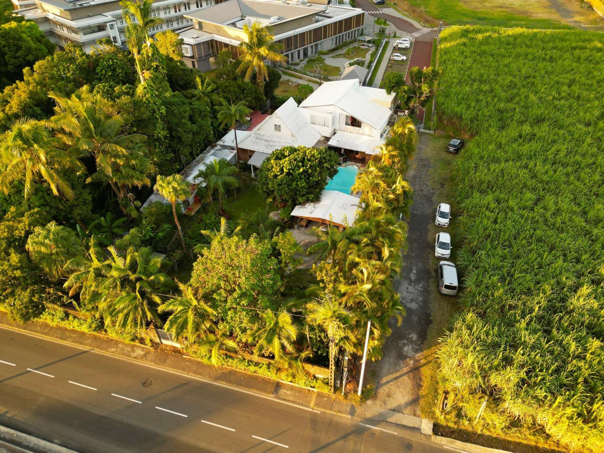 Le Medinilla Bed & Breakfast Bras-Panon Exterior foto